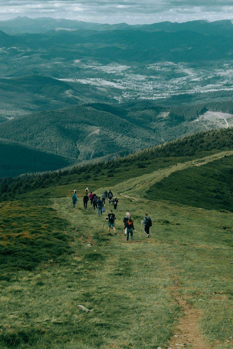 Alpine Pathways Austria