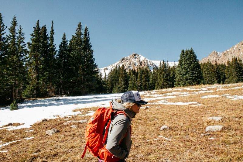 Guided alpine day hikes