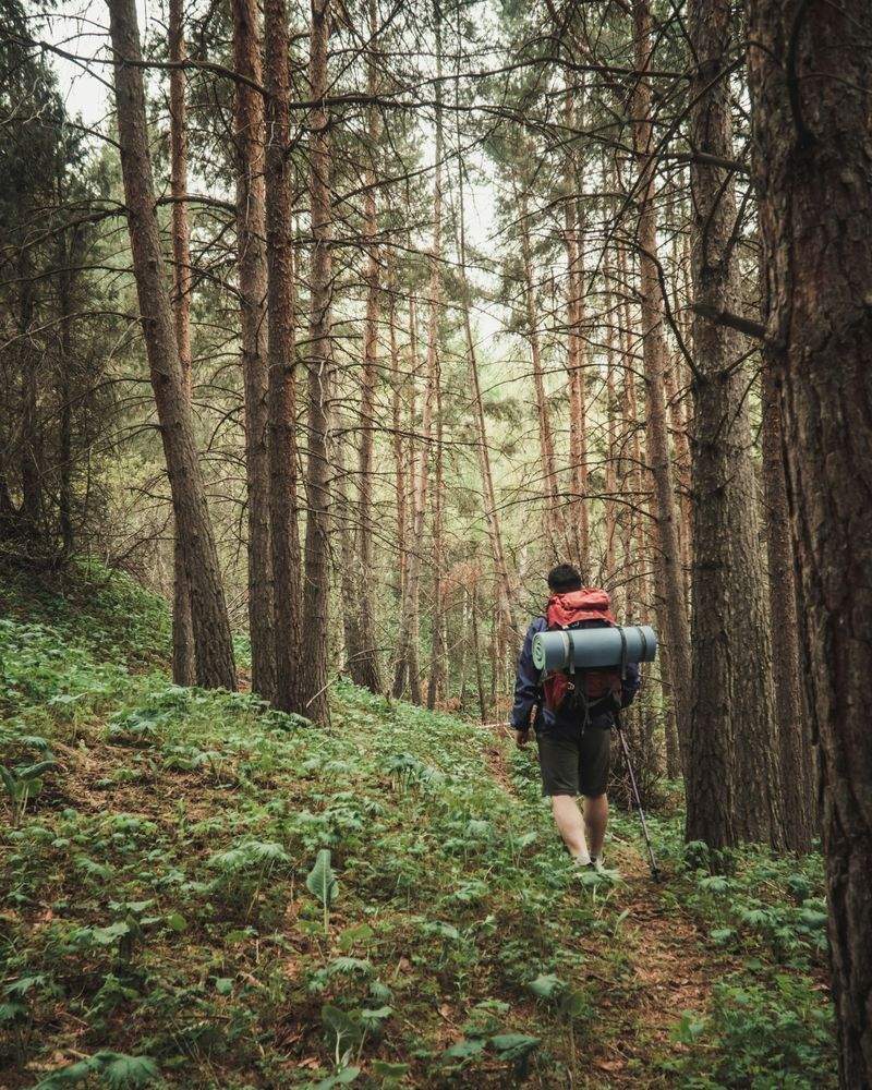 Family-friendly nature walks
